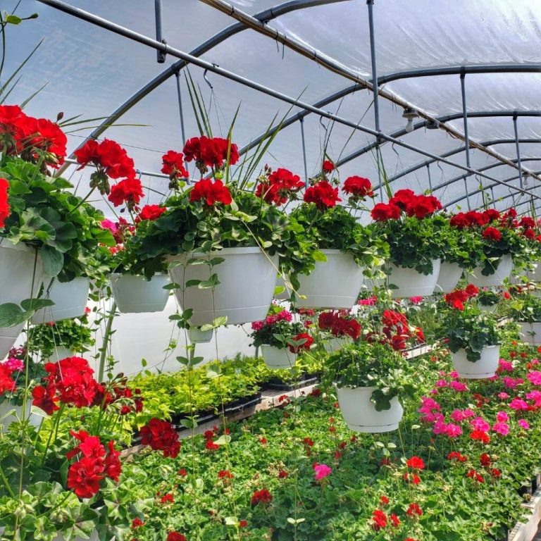 Locations & Hours Peters Greenhouse & Garden Center